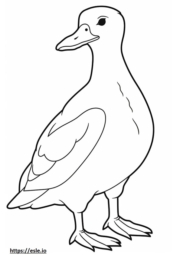Eider cute coloring page