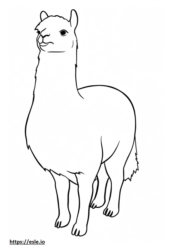 Vicuña Kawaii 0