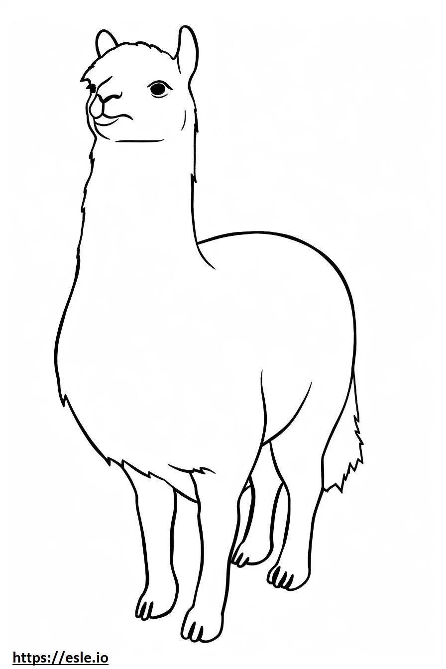 Vicuña Kawaii coloring page