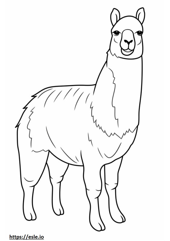 Vicuña Kawaii 1