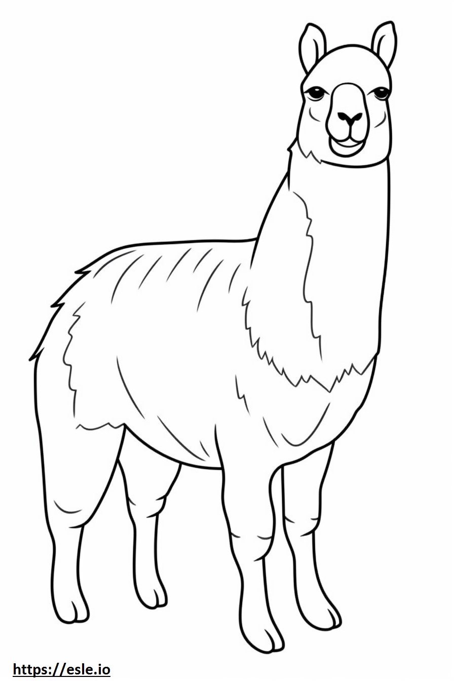 Vicuña Kawaii coloring page