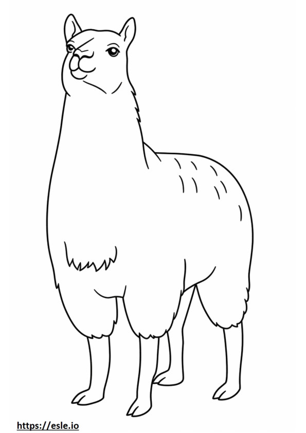 Vicuña Kawaii 2
