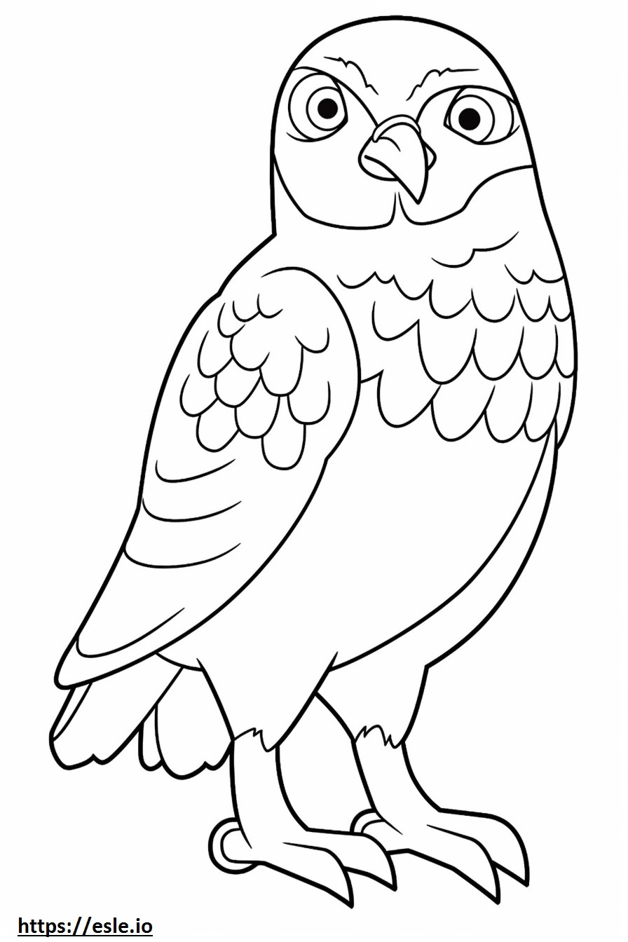 Çakır Kuşu Kawaii boyama