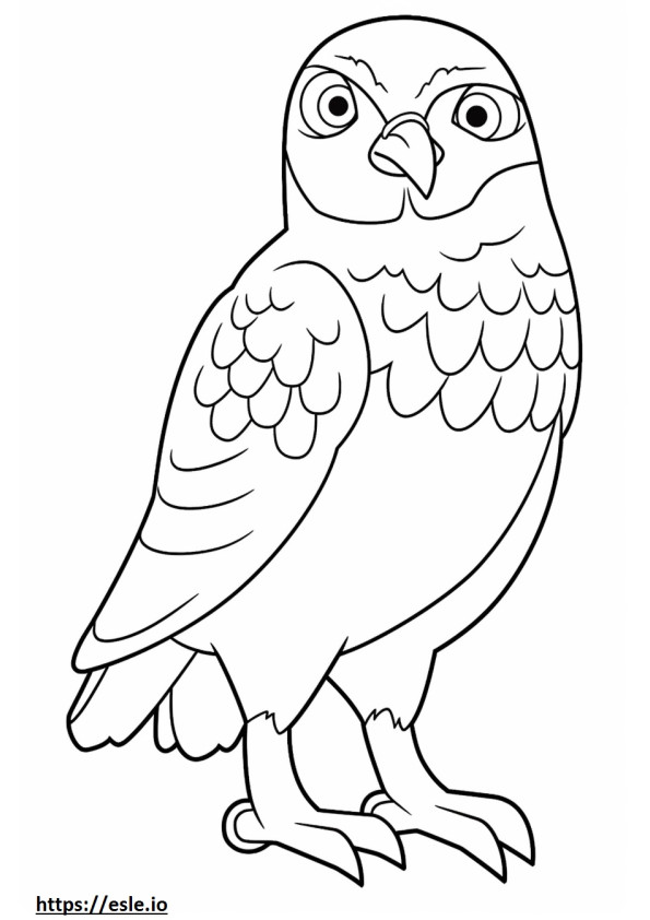 Çakır Kuşu Kawaii boyama