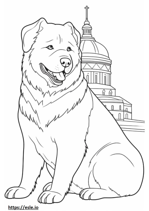 Cachorro Urso Russo fofo para colorir
