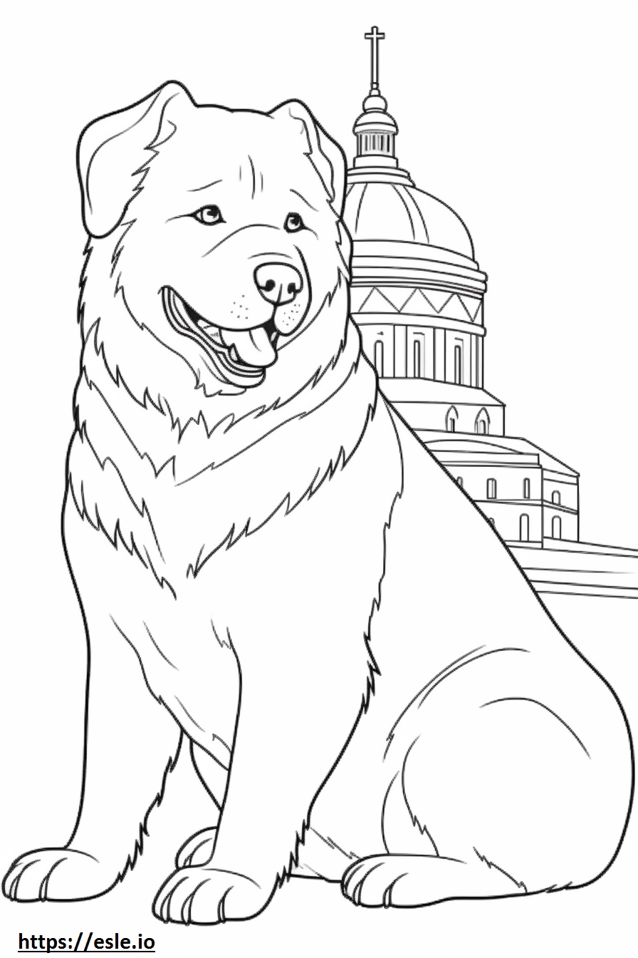 russian-bear-dog-cute-coloring-page