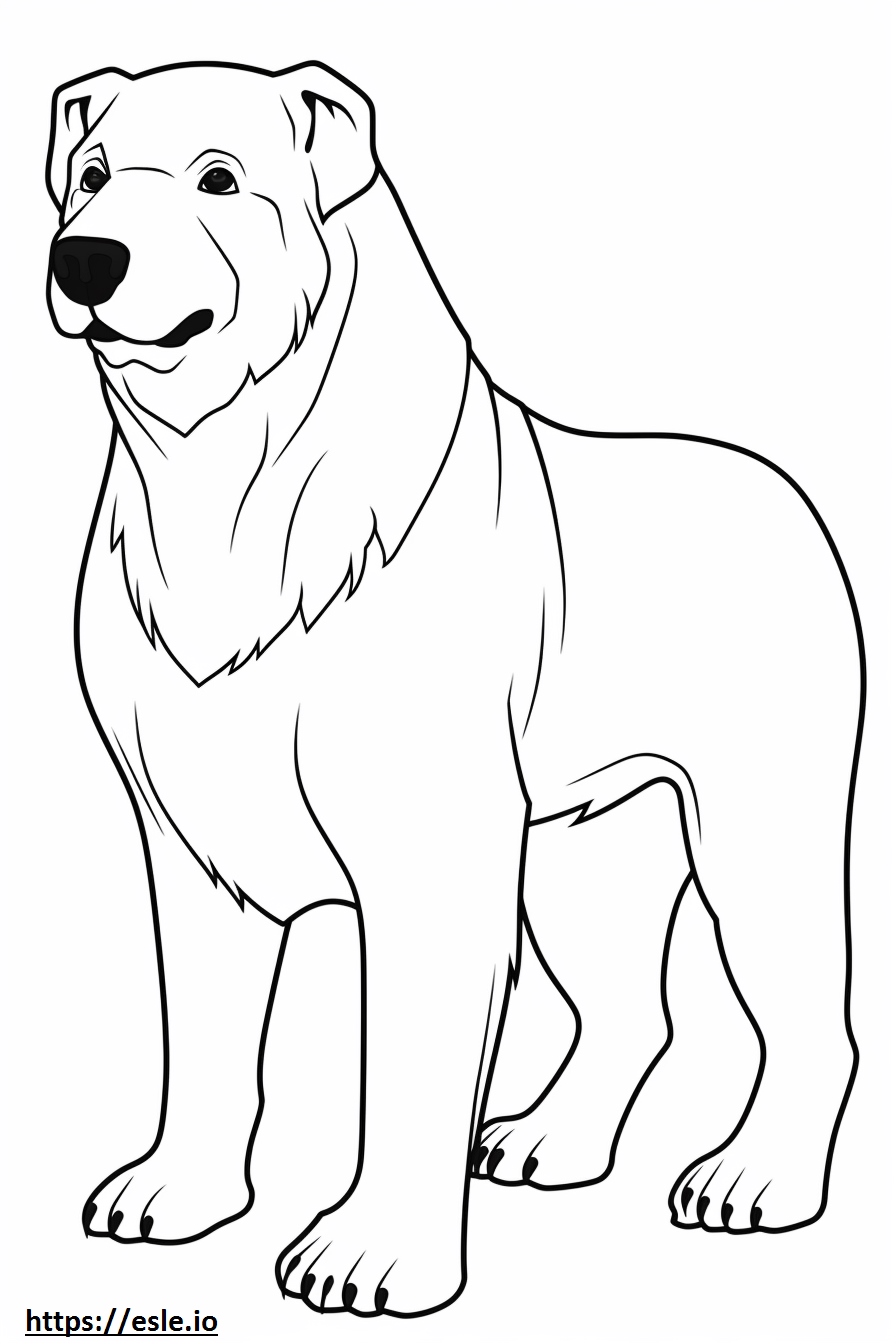 Russian Bear Dog Cute Coloring Page