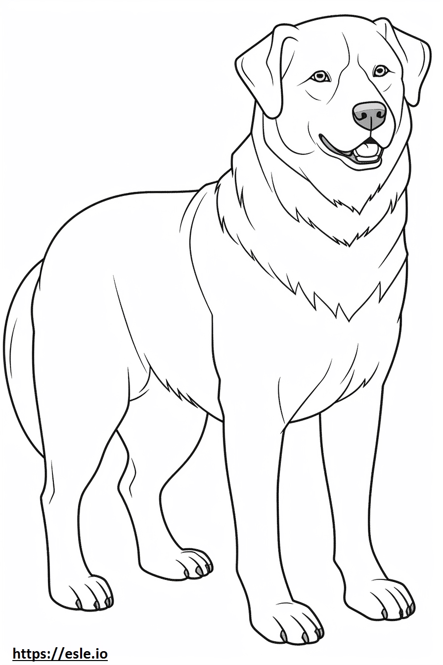 Russian Bear Dog cute 2 coloring page