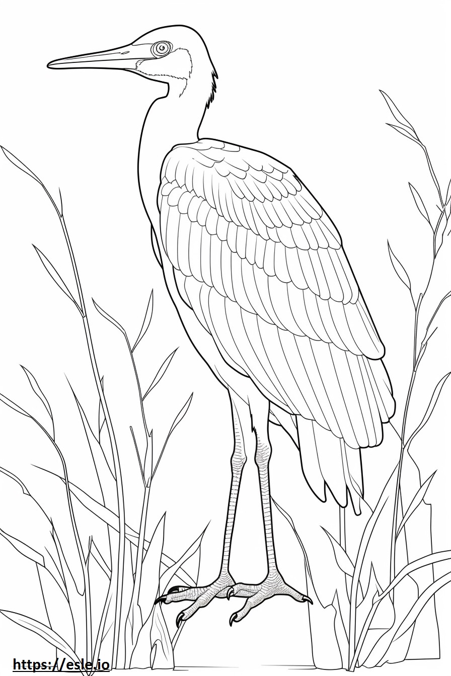 Coloring Page Great Blue Heron Full Body