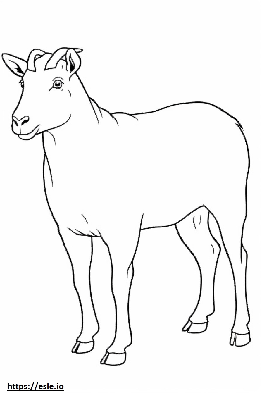 LaMancha Goat cute coloring page