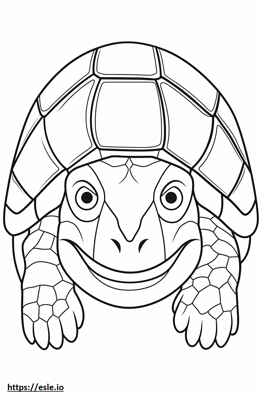 Schildkrötengesicht ausmalbild