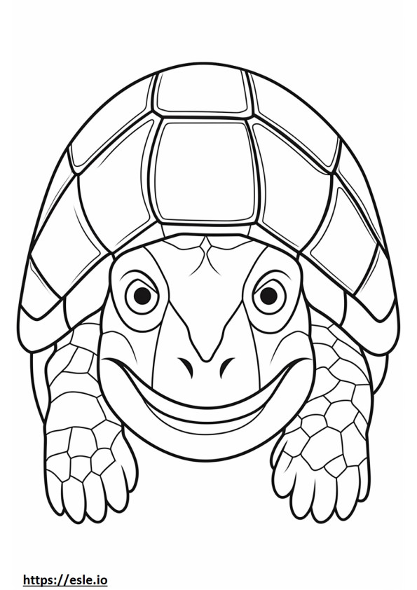 Tortoise face coloring page