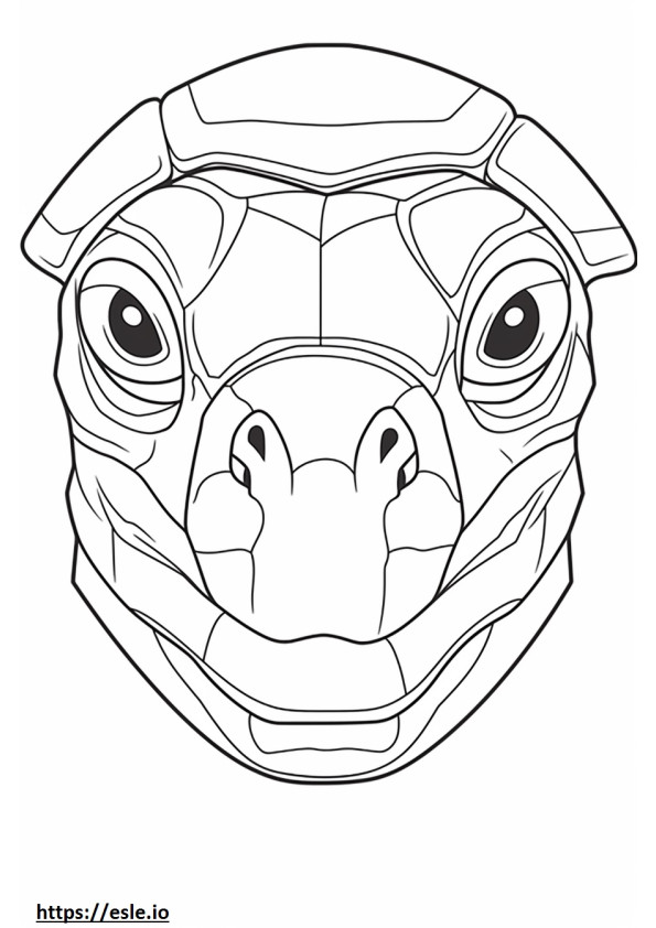 Cara de tartaruga para colorir