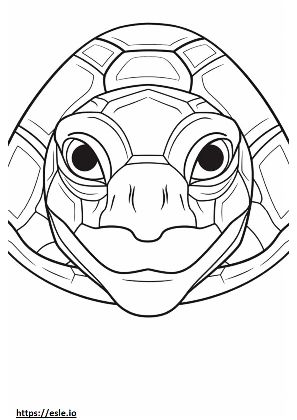 Schildpad gezicht kleurplaat