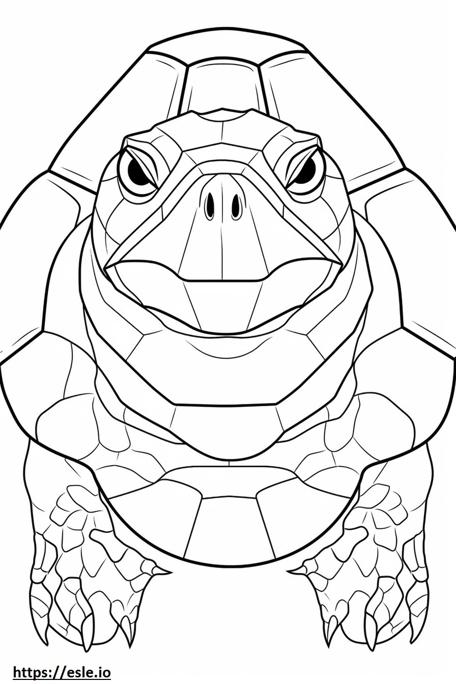 Coloriage Visage de tortue à imprimer