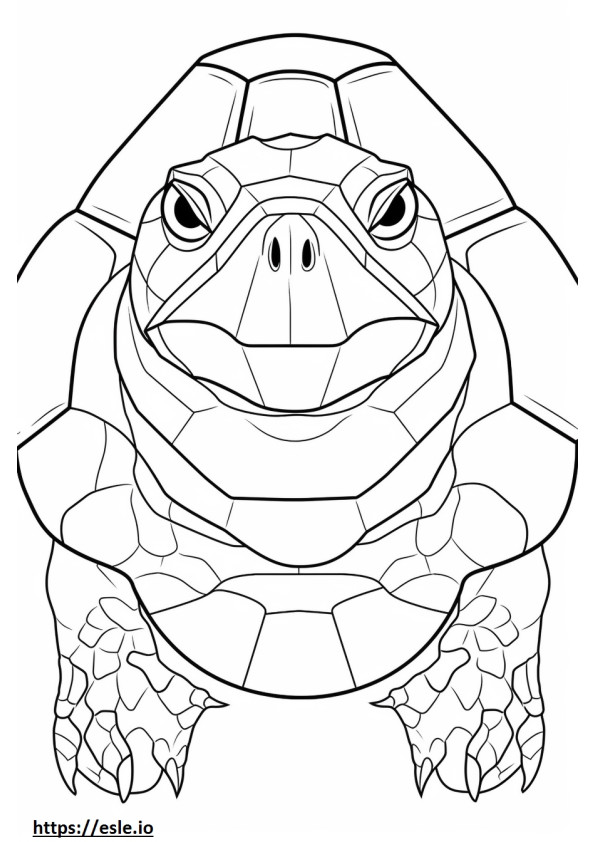 Tortoise face coloring page