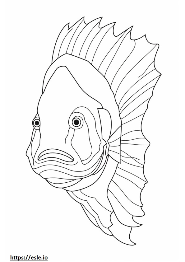 Chimaera face coloring page