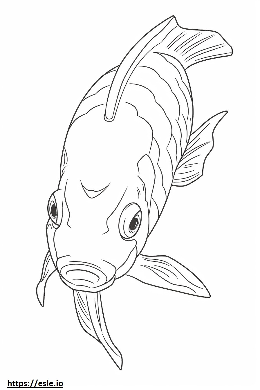 Koi Fisch Gesicht ausmalbild