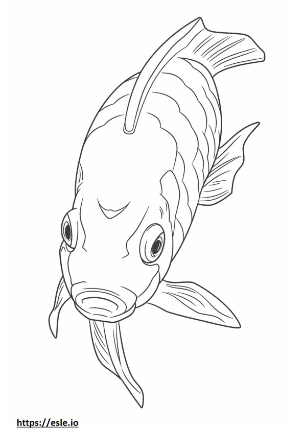 Koi Fisch Gesicht ausmalbild