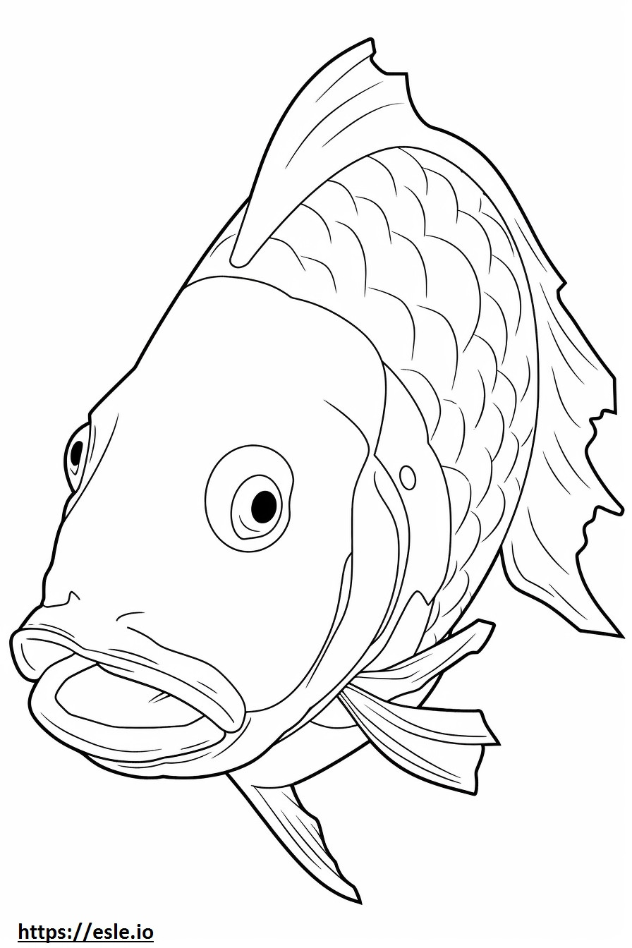 Koi Fish kasvot värityskuva