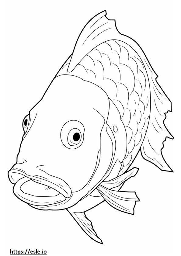 Koi Fish kasvot värityskuva