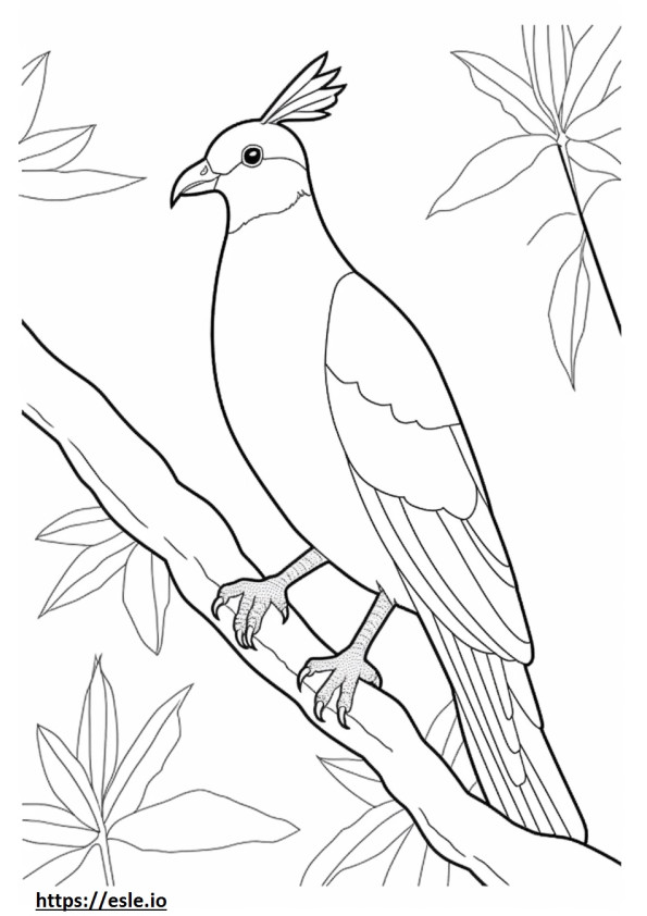 Turaco cute coloring page