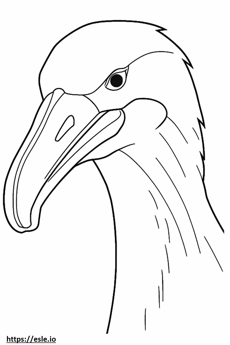 Coloriage Visage d'Albatros errant à imprimer