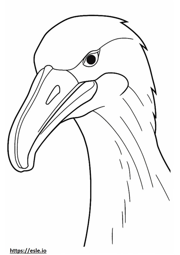 Vándor Albatros arc szinező