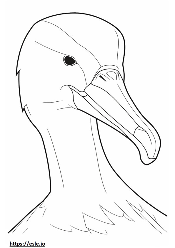 Chipul de Albatros rătăcitor de colorat
