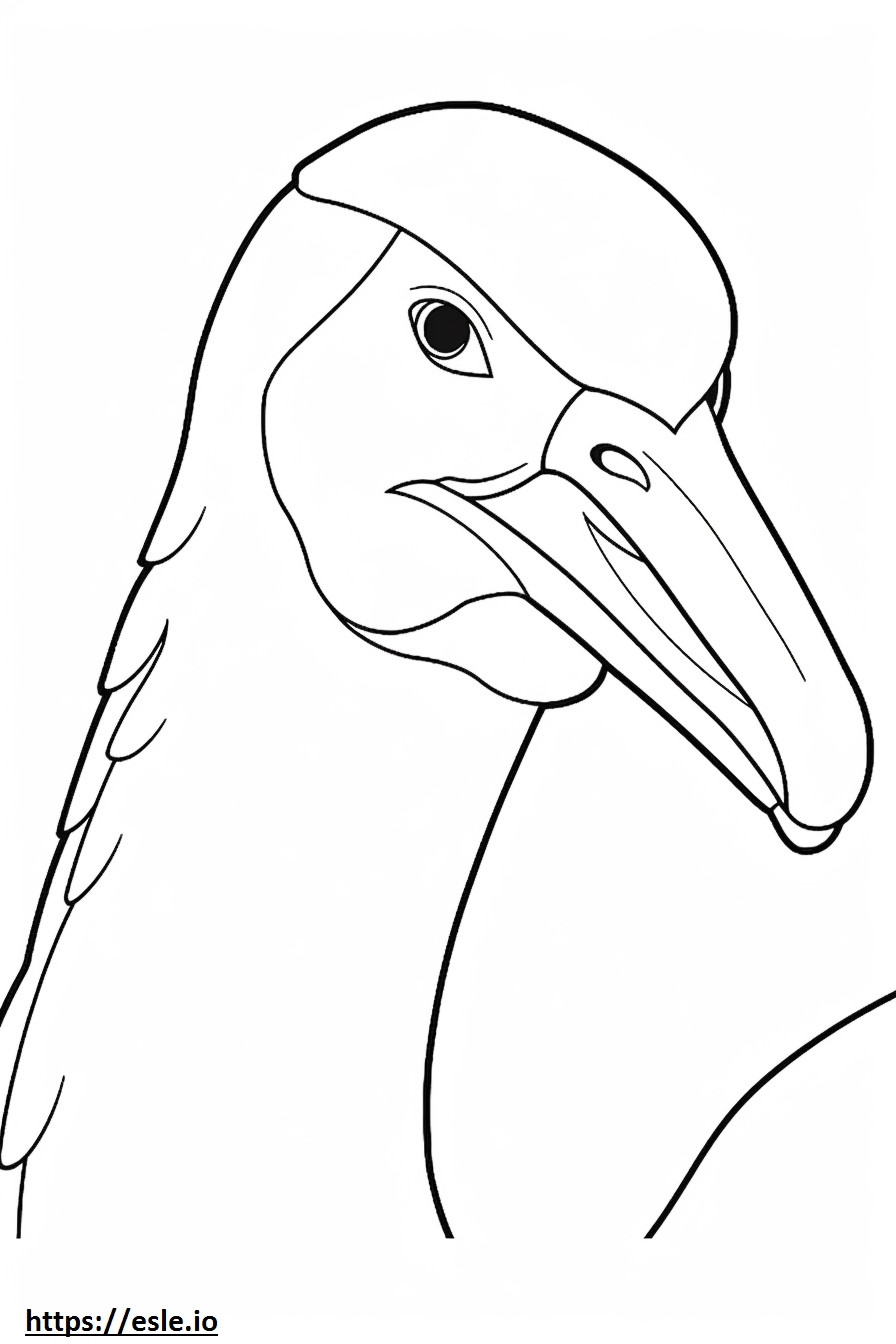 Wajah Albatros yang mengembara gambar mewarnai