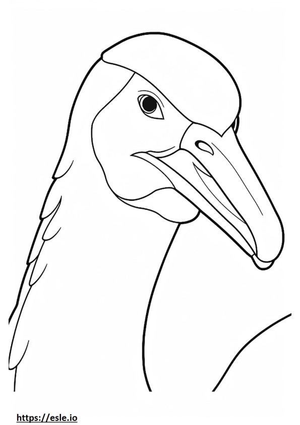 Wandering Albatross face coloring page