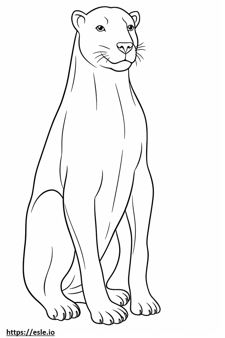 Great Danoodle full body coloring page