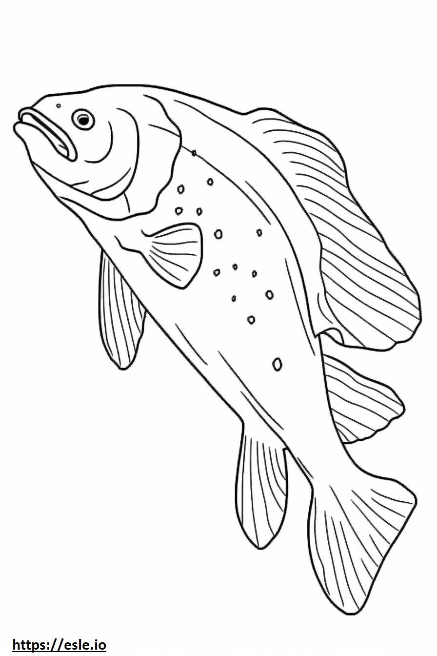 Sea Trout full body coloring page