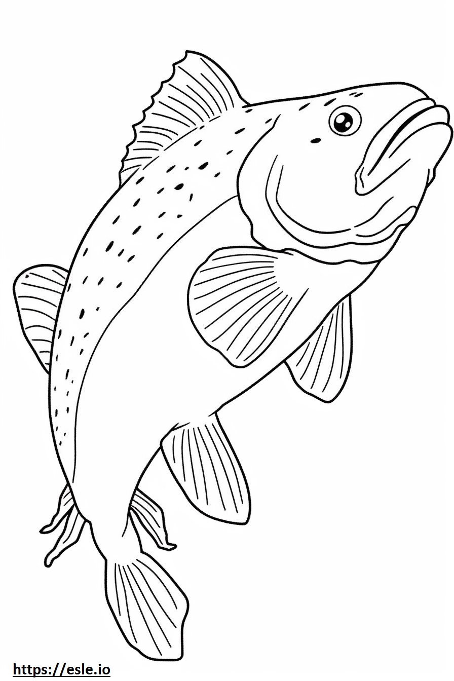 Sea Trout full body coloring page