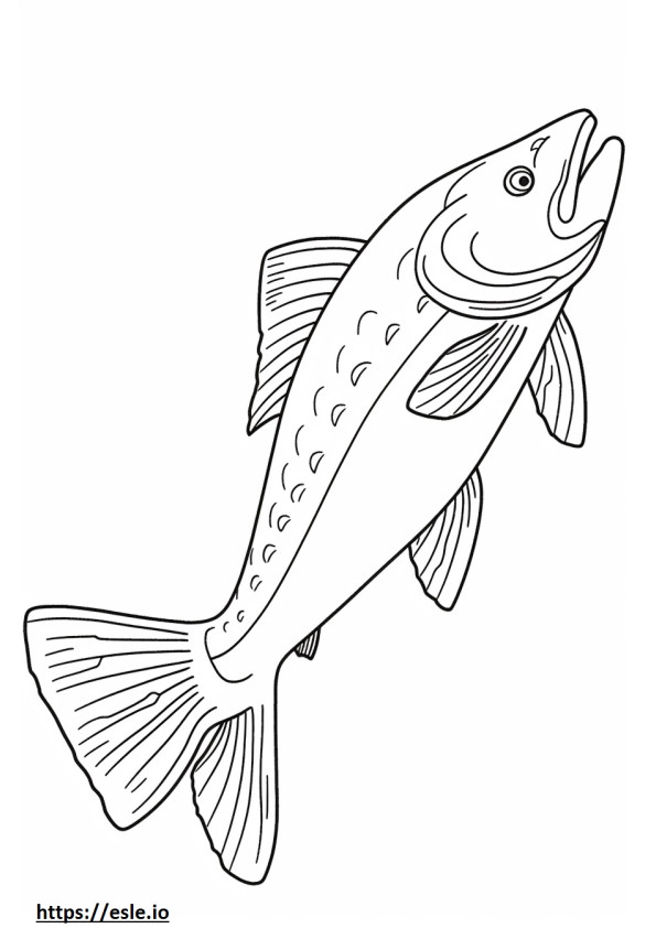 Sea Trout full body coloring page