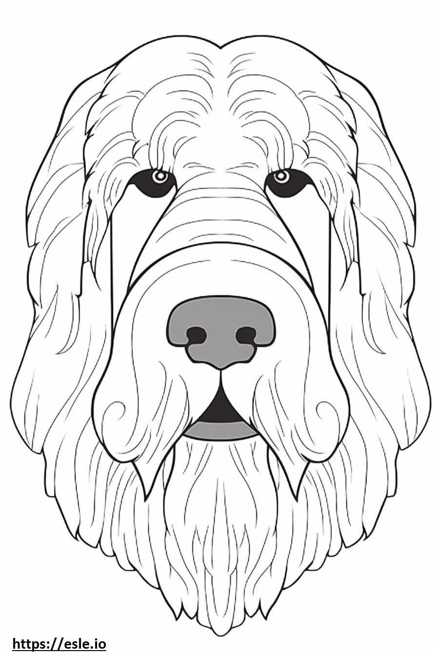 Giant Schnauzer face coloring page