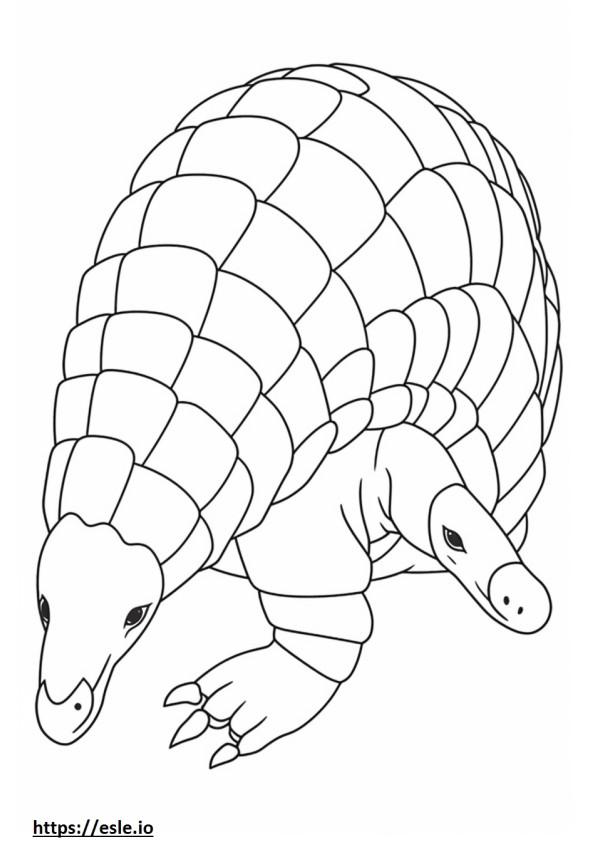 Pangolin full body coloring page