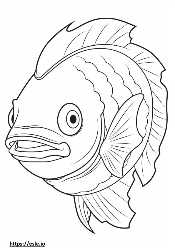 Buffalo Fish face coloring page