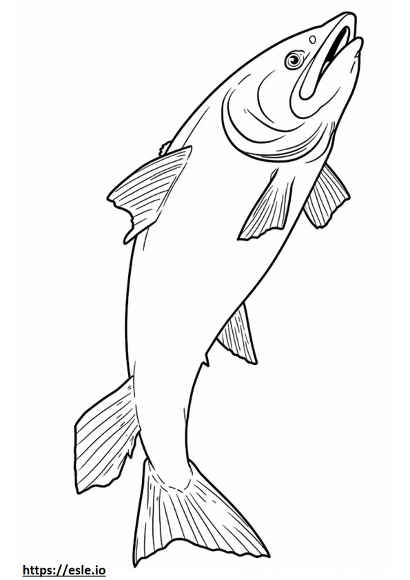 Corpo inteiro de salmão Kokanee para colorir