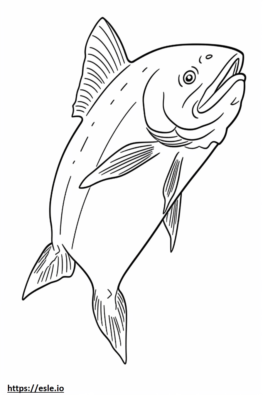Kokanee Salmon full body coloring page for kids