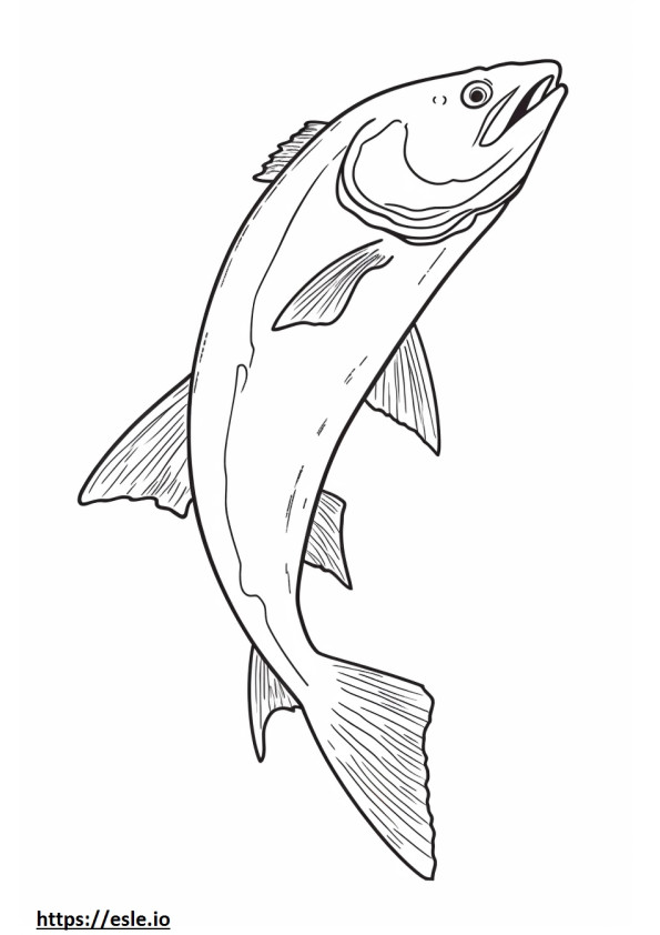 Kokanee Salmon full body coloring page