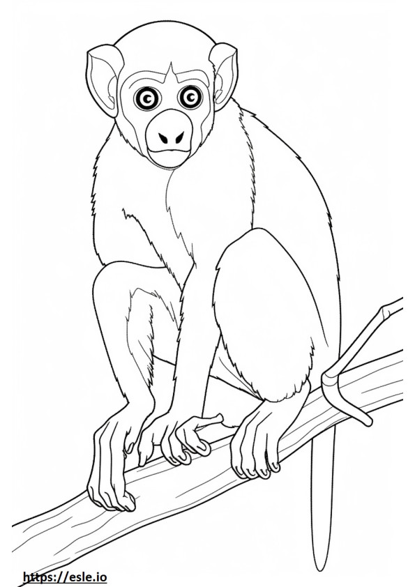 Singe-écureuil mignon 2
