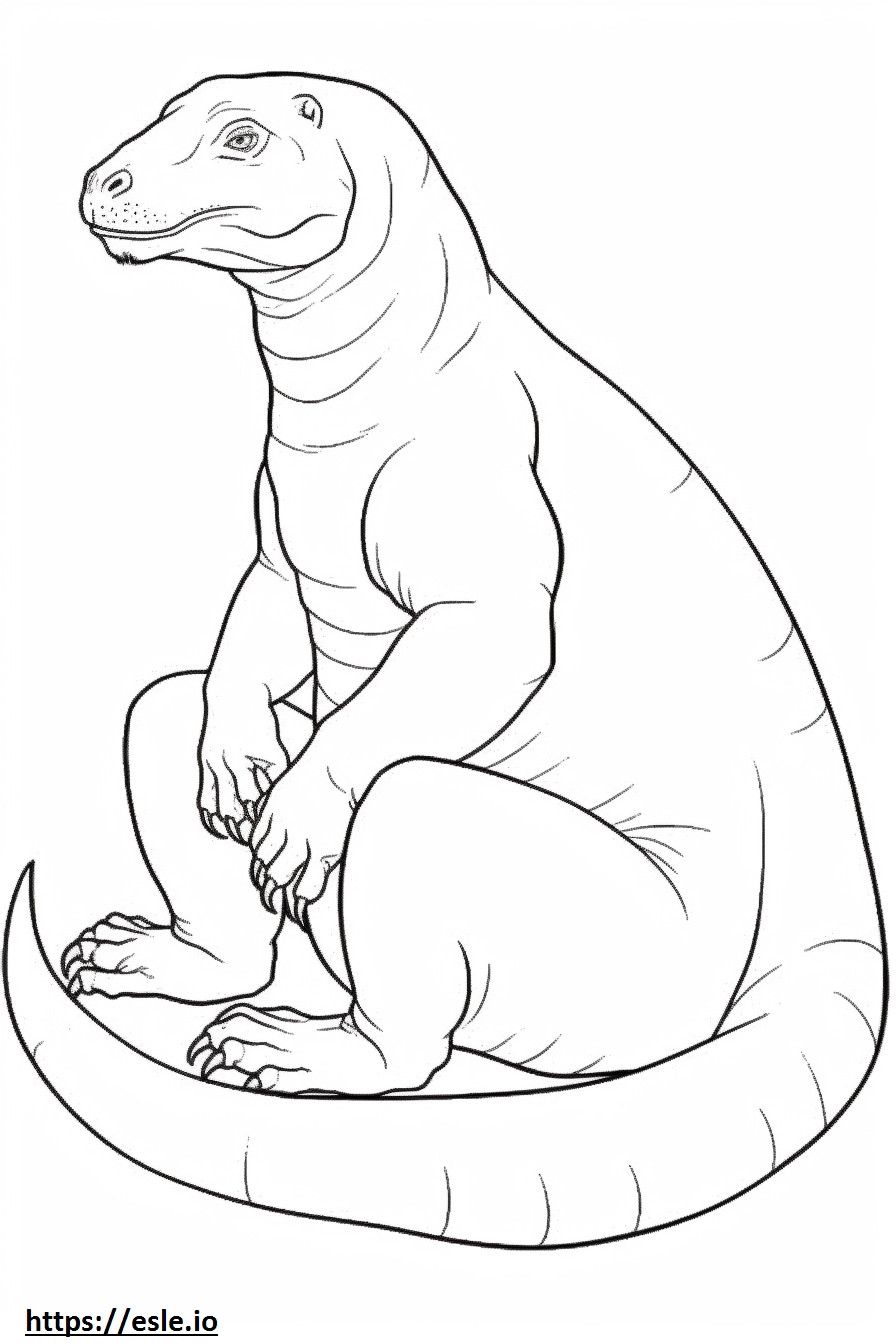 Komodo Dragon koko vartalo värityskuva