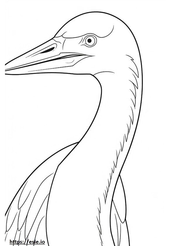 Great Egret face coloring page
