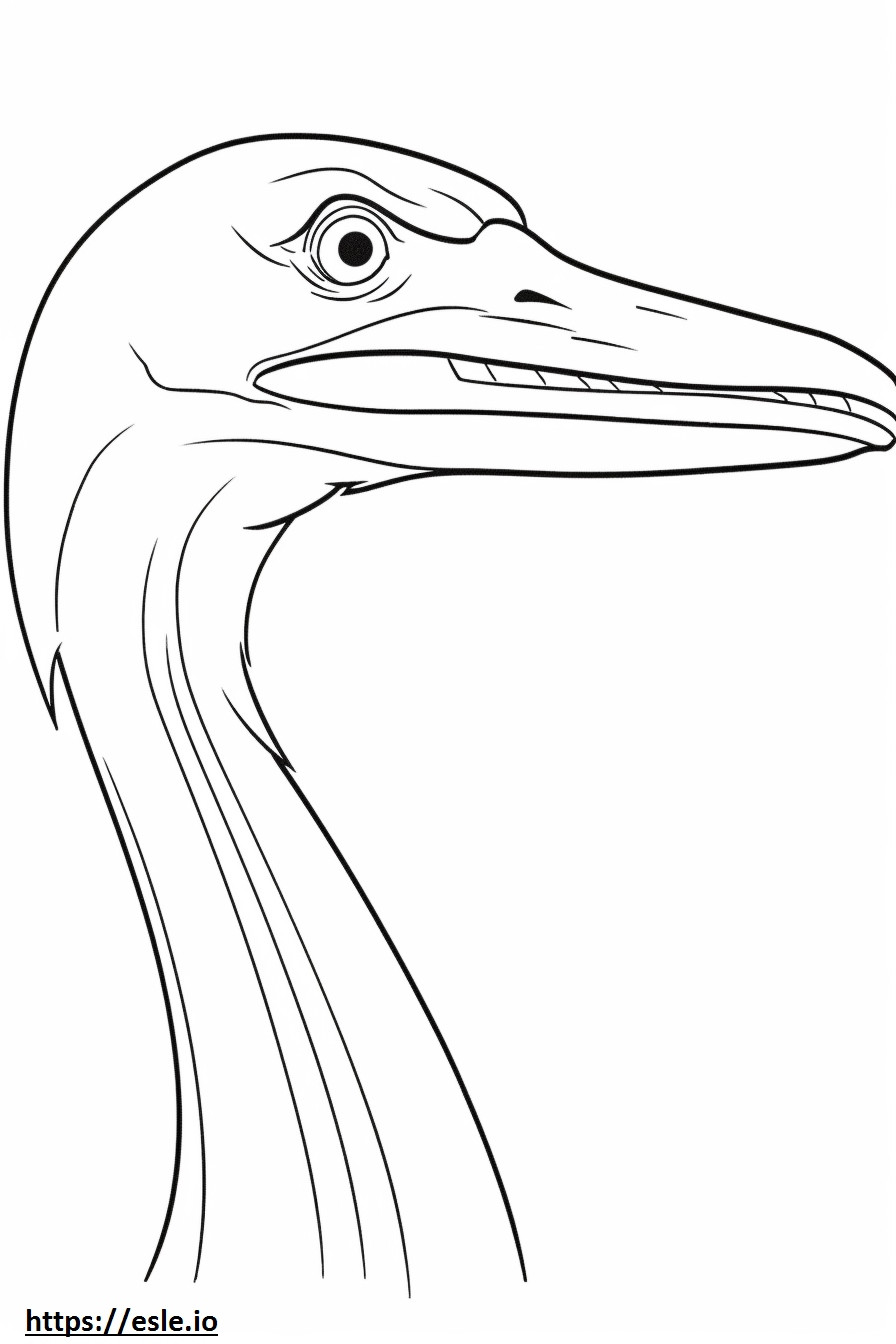 Față de egretă mare de colorat