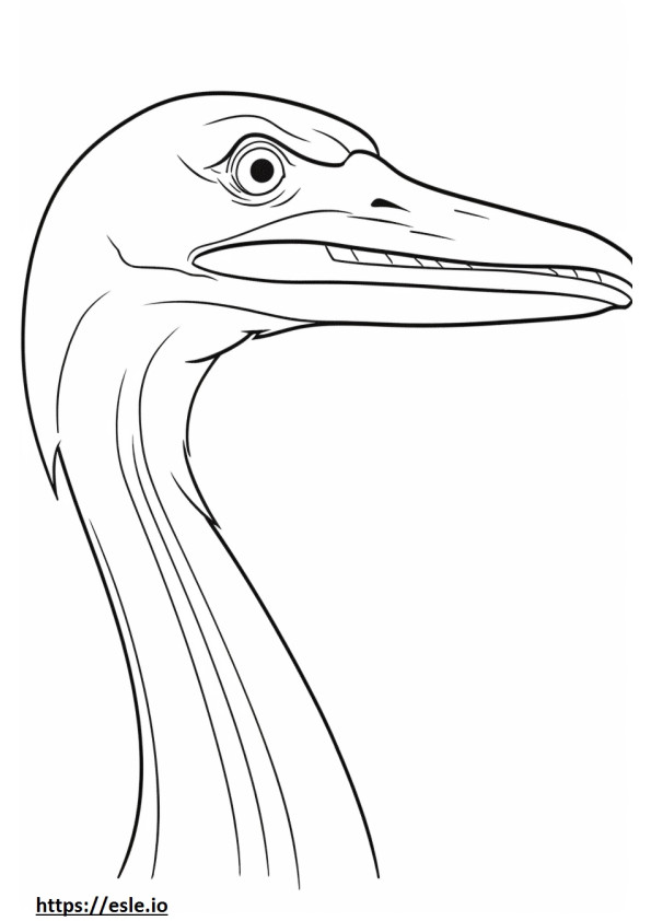 Great Egret face coloring page