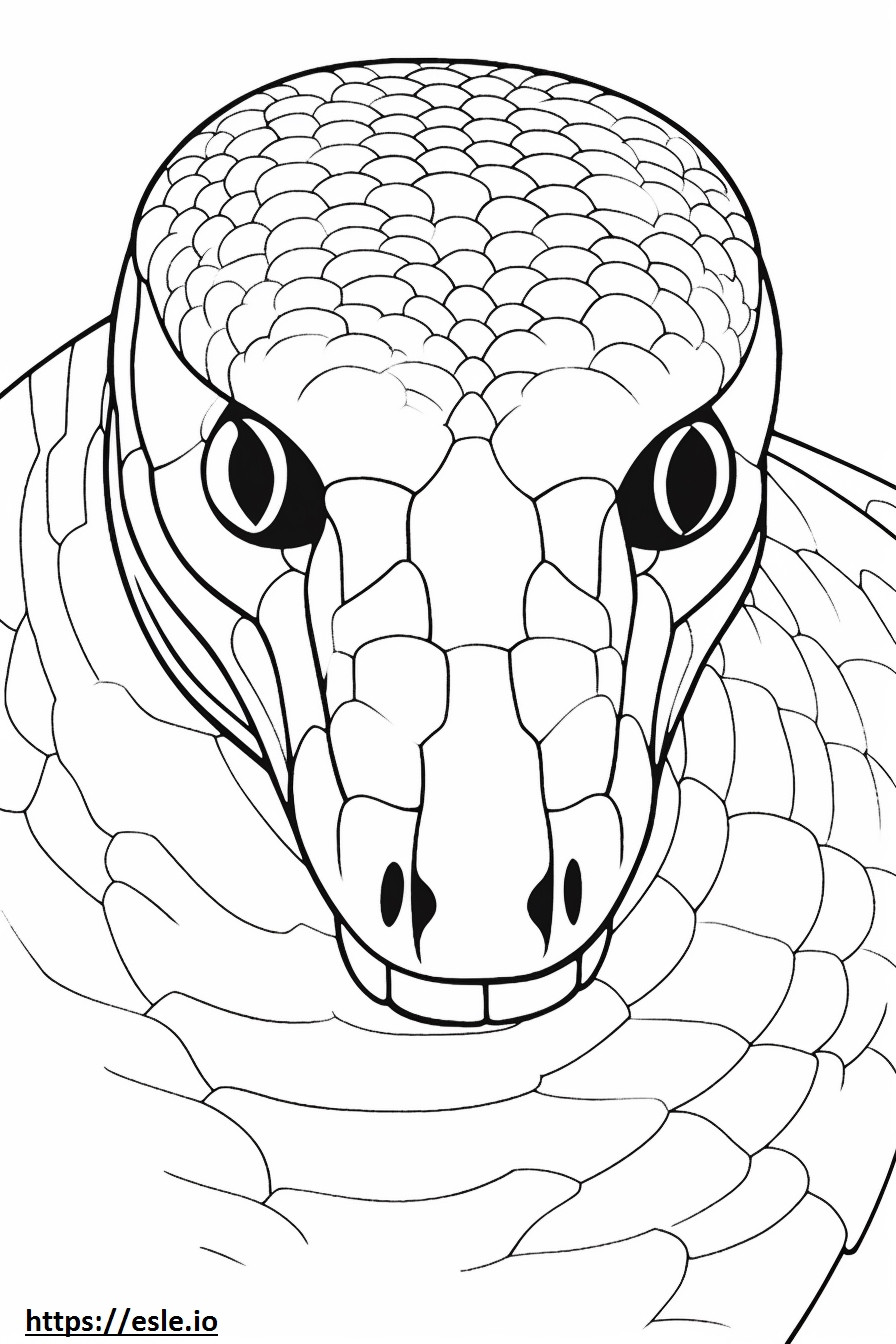Cara de serpiente índigo para colorear e imprimir