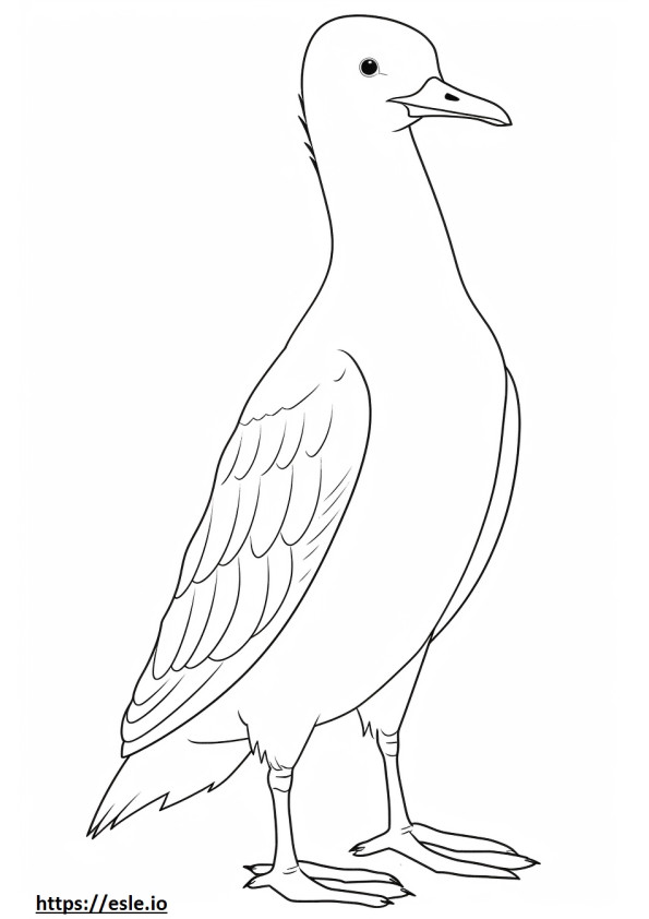 Eider full body coloring page