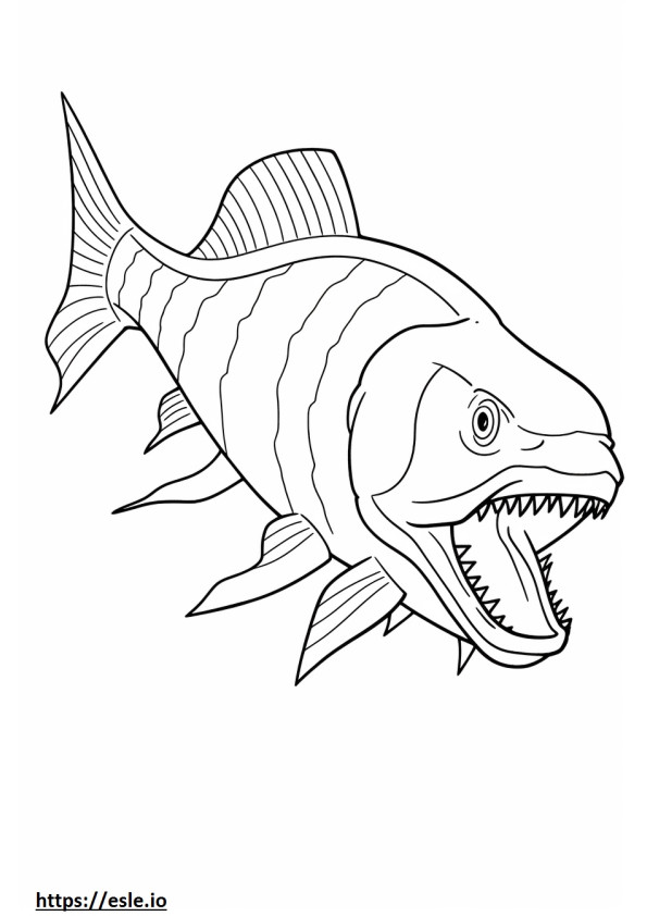 Goliath Tigerfish koko vartalo värityskuva