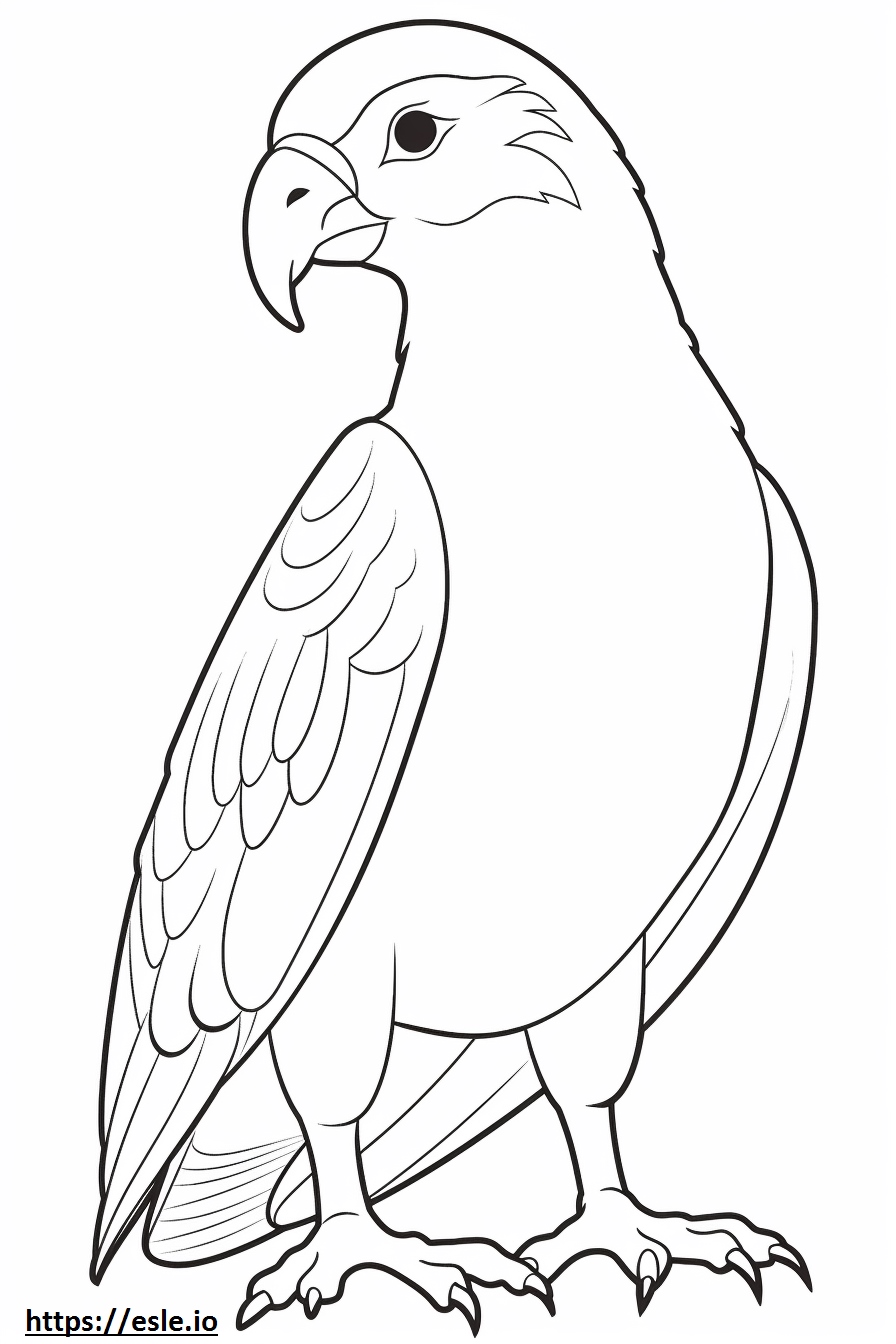 Barred Owl Cute Coloring Page